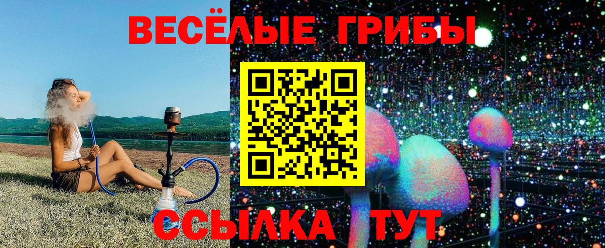 Зима  Галлюциногенные грибы GOLDEN TEACHER  Вход с VPN 