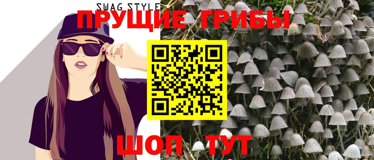 Псилоцибиновые грибы MAGIC MUSHROOMS Зима